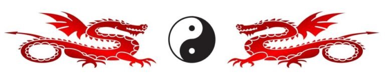 cropped Budoteam Meerlo Wanssum Logo Facebook zonder Clubnaam scaled 1 768x154